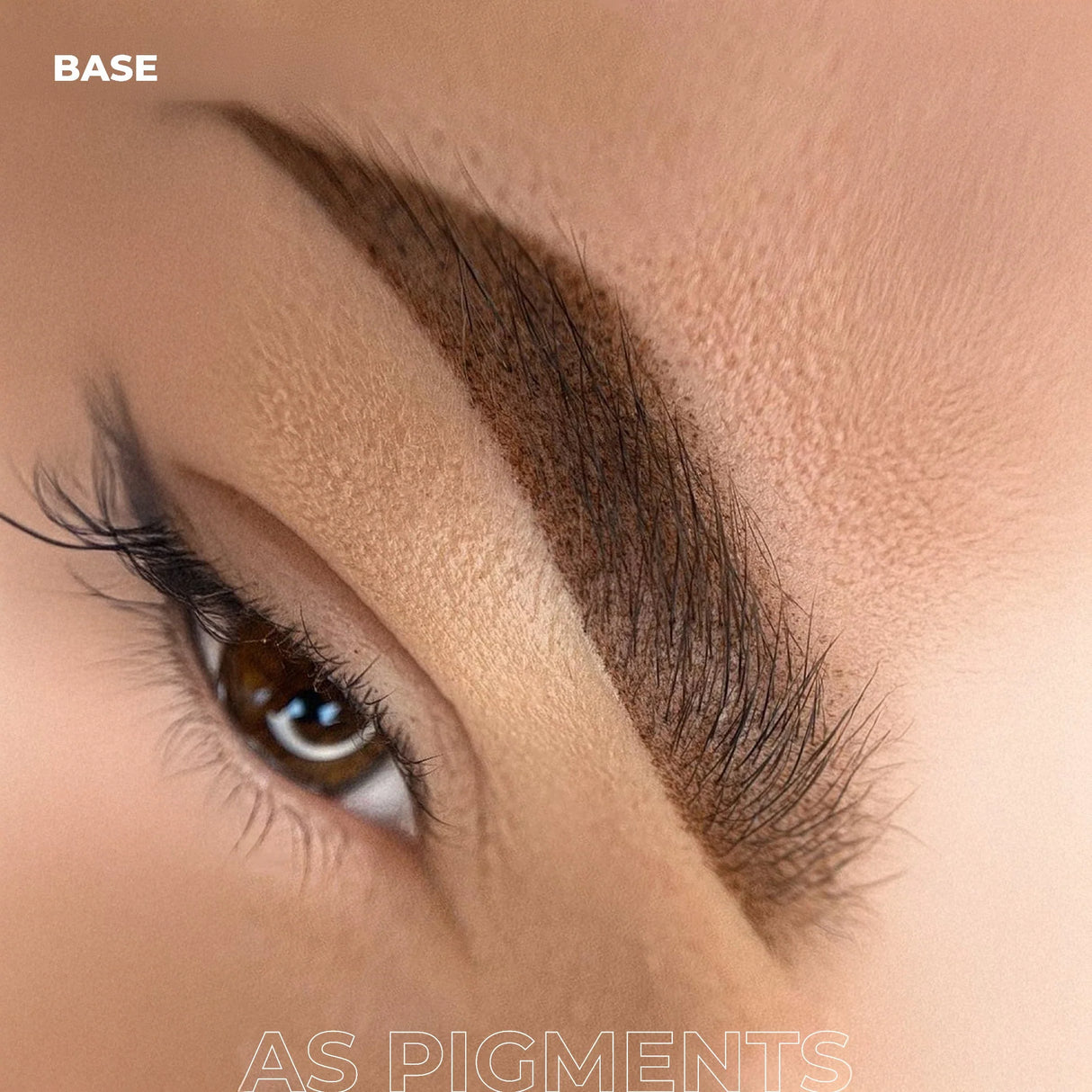 AS COMPANY Base (AS Pigments) 6/12ml - BVShop