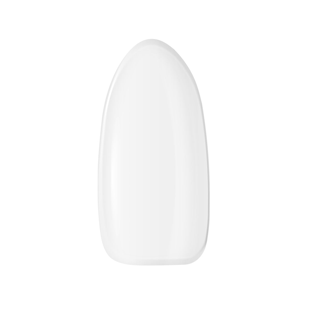 CLARESA HARD&EASY BUILDER GEL CLEAR 12g - BVShop