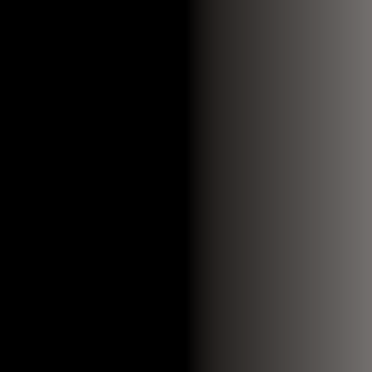 Swiss Color 304 Deep Black Eyeliner Pigment 10ml - BVShop