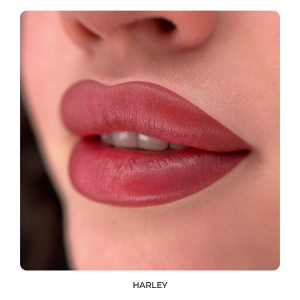 Lip Set HARLEY QUINN by AS Company & Alla Budaragina Hybrid 6pcs/6ml - BVShop