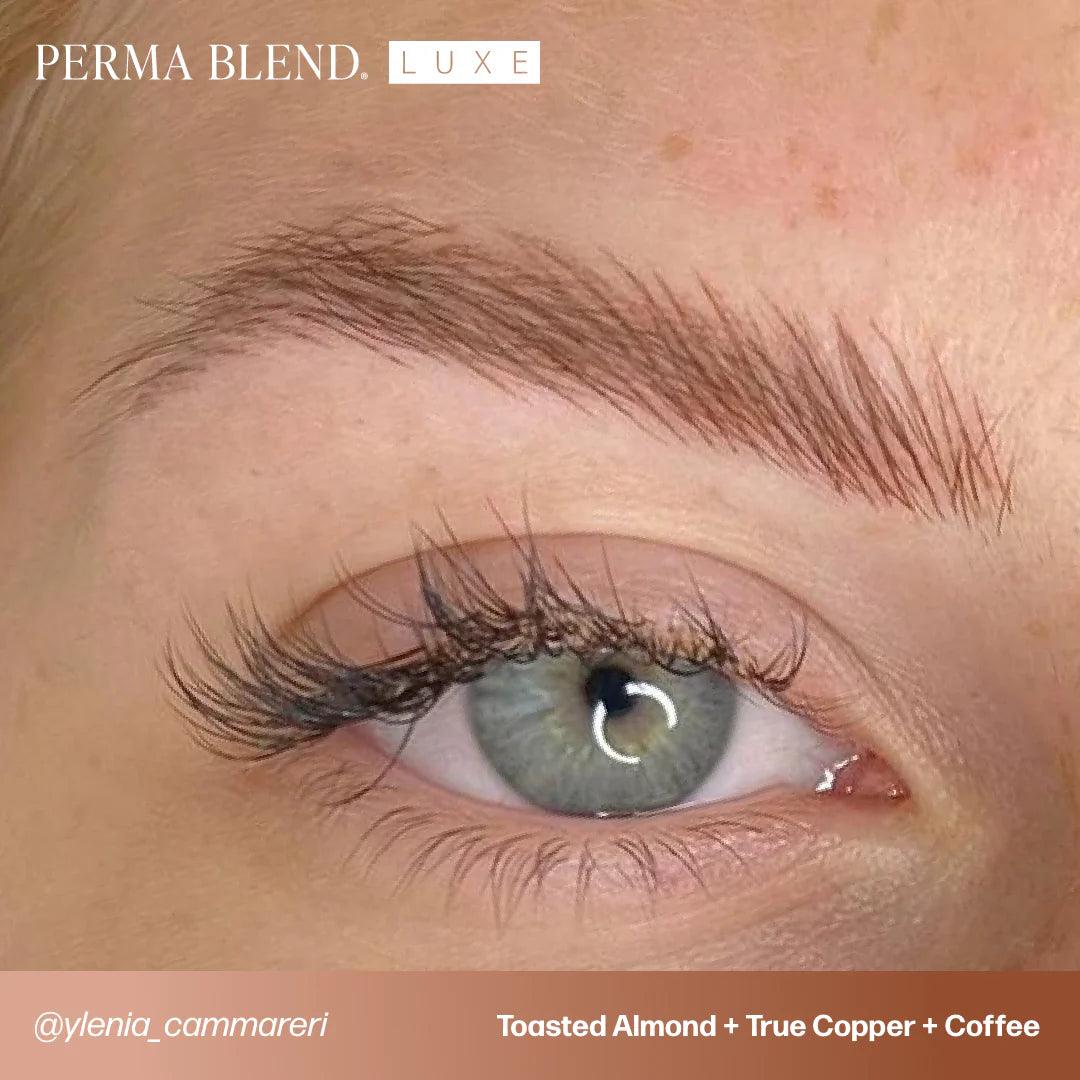 Perma Blend LUXE Toasted Almond 15ml - BVShop