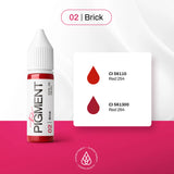 The Pigment 02 Brick Pigment in a 15ml bottle, showcasing warm brick-red color with a clear glass container and black cap.