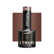 OCHO NAILS Hybrid Nail Polish in Brown 807, 5g, showing the smooth, glossy finish of the nail polish bottle.