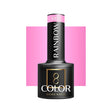 OCHO NAILS Hybrid nail polish in rainbow R05, 5g, showing vibrant multicolor nail polish in a sleek bottle.