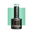 OCHO NAILS Hybrid Nail Polish Rainbow R10, 5g, showcasing a vibrant rainbow-colored nail polish bottle with colorful cap.