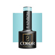 OCHO NAILS Hybrid nail polish Rainbow R11 in a 5g bottle, showcasing vibrant rainbow-colored nail polish on a white background.