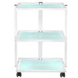202 basic cosmetic chair + 1040 cosmetic table + s5 led magnifier lamp - BVShop