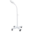 Beauty System magnifying lamp on stand BR-663G with adjustable arm and bright LED light for detailed skincare or beauty work.
