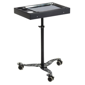 Tattoo Assistant on Wheels ARMAS INKOO - BVShop
