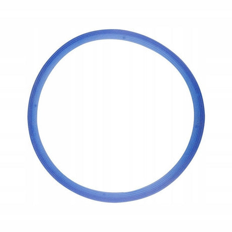 Door gasket for autoclave SUN SteamIT - BVShop