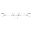 Biotek Disposable Adhesive Eyebrow Ruler 12pcs - BVShop