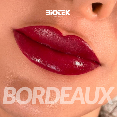 Biotek Bordeaux Pigments 15ml - BVShop