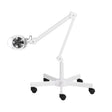 DUST ABSORBER ON THE  PANTOGRAPH MOMO 6606 - BVShop