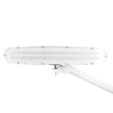 Elegant 801-tl led work lamp with a vice reg. white light intensity and color - BVShop