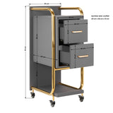 GABBIANO HAIRDRESSER TROLLEY SOLO GOLD GRAY - BVShop
