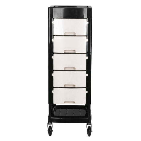 Gabbiano hairdressing assistant ft65 black / white - BVShop