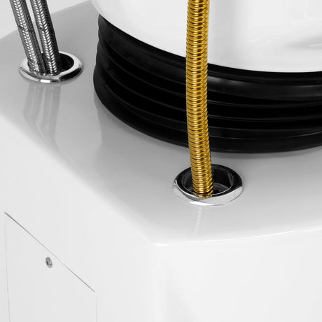 Gabbiano hairdressing wash unit Berlin gold white - BVShop