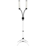 LED lamp for eyelashes and makeup polluks ii type msp-ld01 - BVShop