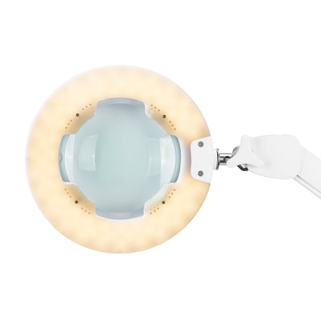 LED LUPA LED GLOW 8021 LAMP ADJUSTABLE COLOR OF LIGHT - BVShop