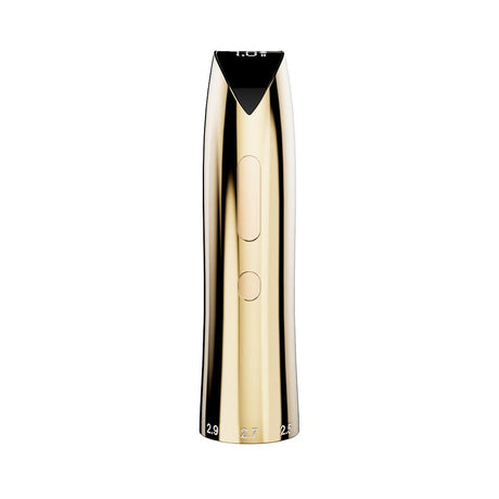 Mast P60 Gold PMU And Tattoo Wireless Machine Pen Stroke 2.2-3.2mm - BVShop