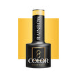 OCHO NAILS Hybrid nail polish rainbow R01 -5 g - BVShop