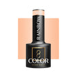 OCHO NAILS Hybrid nail polish rainbow R02 -5 g - BVShop