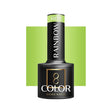 OCHO NAILS Hybrid nail polish rainbow R09 -5 g - BVShop