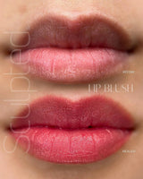 Perma Blend LUXE Popi - BVShop