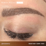 Perma Blend LUXE Ready Set Go Premodified Set - BVShop