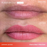 Perma Blend LUXE Pucker Up Buttercup Lip Set - BVShop