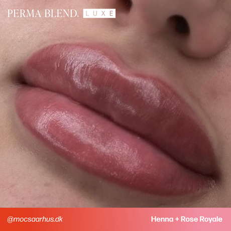 Perma Blend LUXE Rose Royale V2 cool earthy pink lip pigment result