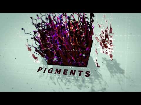 Li Pigments Forever Berry Persistent Πιγμέντα 7ml/12ml