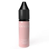 Pro Nouveau Blush Lip Pigments by Intenze Cassie 15ml - BVShop