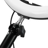 Ring lamp hanger - BVShop