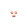Set the dummy's head - BVShop