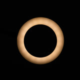 SNAKE RING LED LAMP LAMP ON A DESK BLACK - BVShop