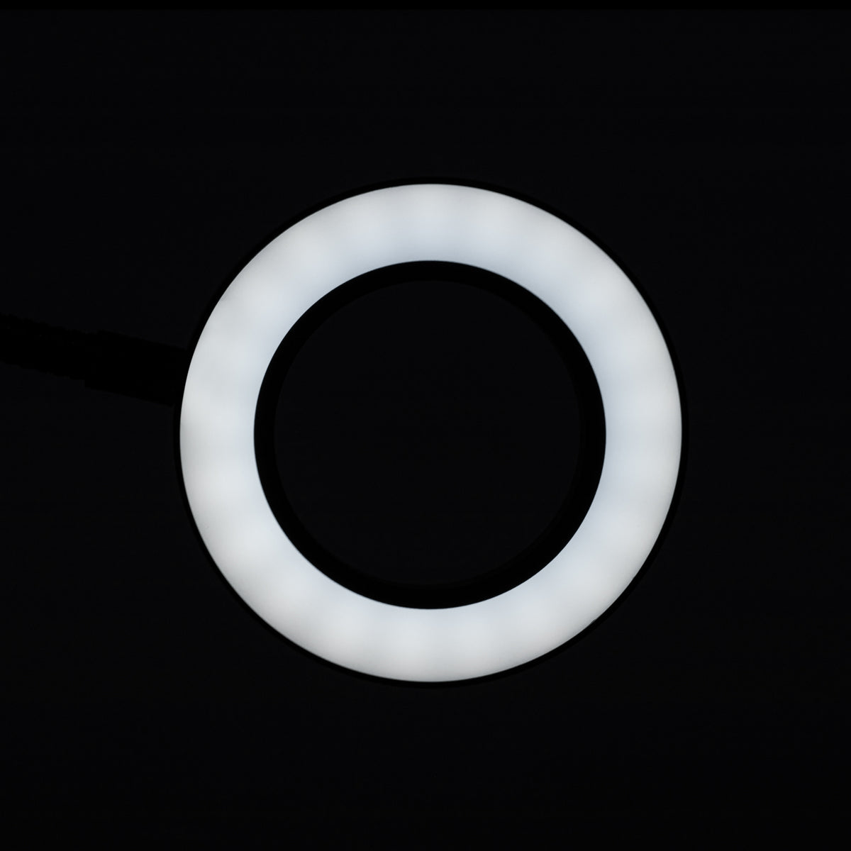SNAKE RING LED LAMP LAMP ON A DESK BLACK - BVShop