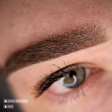 Swiss Color 203 Chocolate Brown Eyebrow Pigment - BVShop