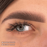 Swiss Color 205 Dark Brown Eyebrow Pigment - BVShop