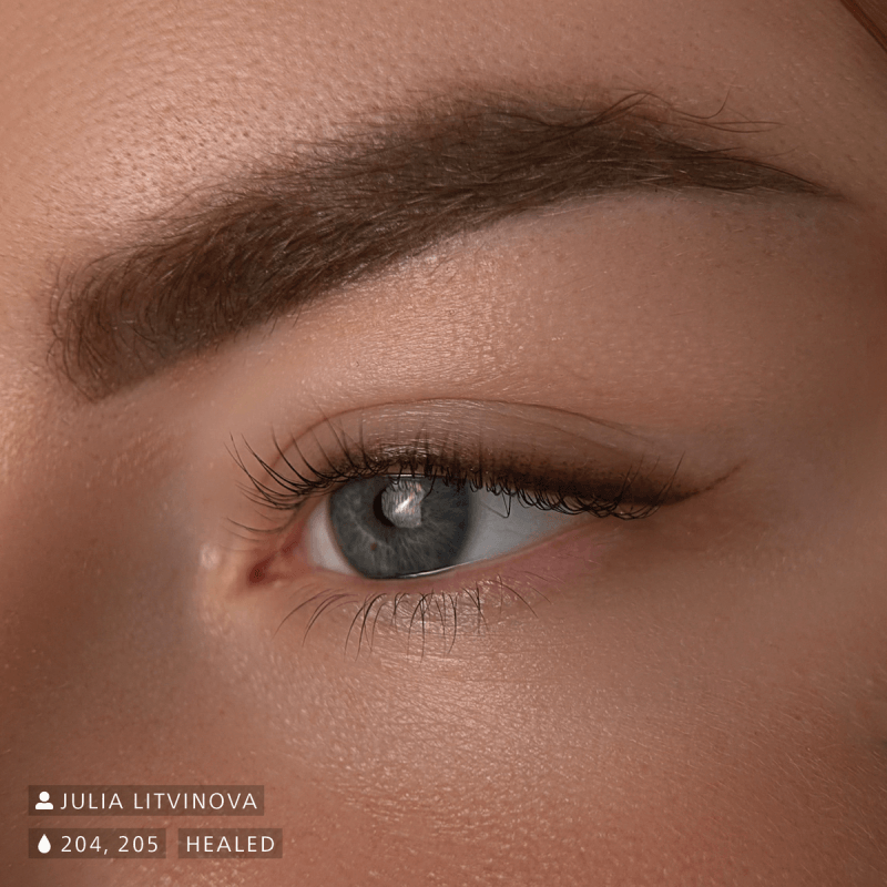 Swiss Color 205 Dark Brown Eyebrow Pigment - BVShop