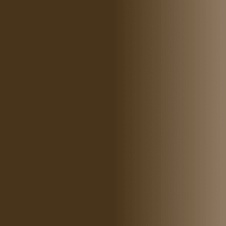 Swiss Color 206 Cocoa Brown Eyebrow Pigment - BVShop