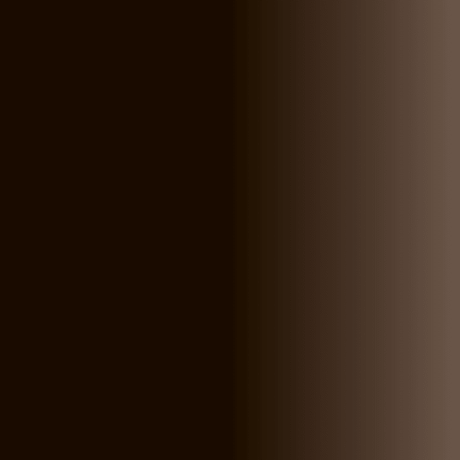 Swiss Color 207 Ebony Brown Eyebrow Pigment - BVShop