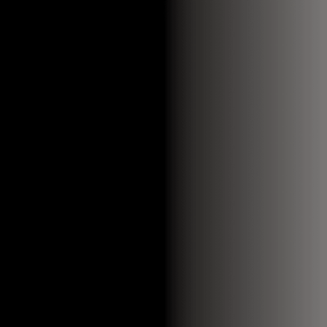 Swiss Color 302 Jetblack Eyeliner Pigment - BVShop