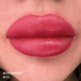 Swiss Color 701 Wild Rose Lip Pigment - BVShop