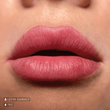 Swiss Color 702 Passion Rose Lip Pigment - BVShop