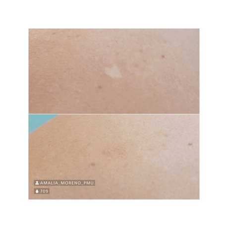 Swiss Color 709 Dark Beige Camouflage Pigment - BVShop