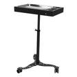 Tattoo assistant pro ink 716 black - BVShop