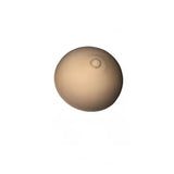 Training materials BREAST - BVShop